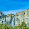 Ausblick auf die Yosemite Falls von Barbara Riedel