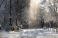 winters landschap van Chantal Golsteijn thumbnail