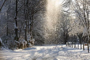 winters landschap van Chantal Golsteijn