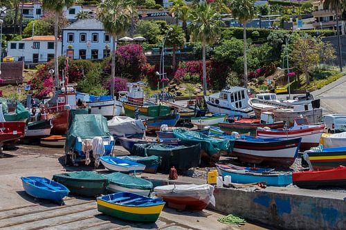 Haven Camera de Lobos