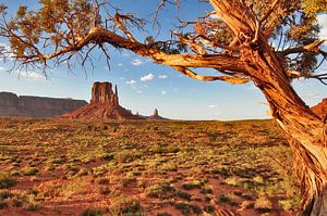 Blick auf Monument Valley Vereinigte Staaten. von Ron van der Stappen