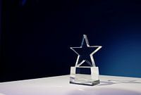 Star-shaped award in the spotlight