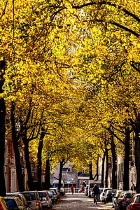 Herbststraße von Langs Leidse Straten