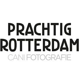 Prachtig Rotterdam profielfoto