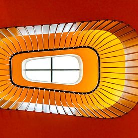the eye by Wim Coudenys