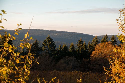 Oberhof im Sonnenuntergang