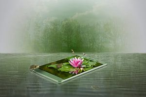 Der stille See - Smartphone Manipulation
