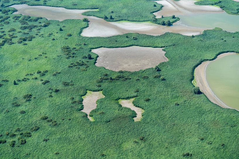 Photo aérienne de la réserve naturelle de Oostvaardersplassen par aerovista luchtfotografie