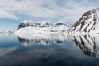 Diep in het fjord is het water rustig en reflecteert het landschap van Gerry van Roosmalen thumbnail