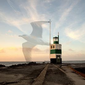 Die pier van IJmuiden in zonsondergang van Zaankanteropavontuur