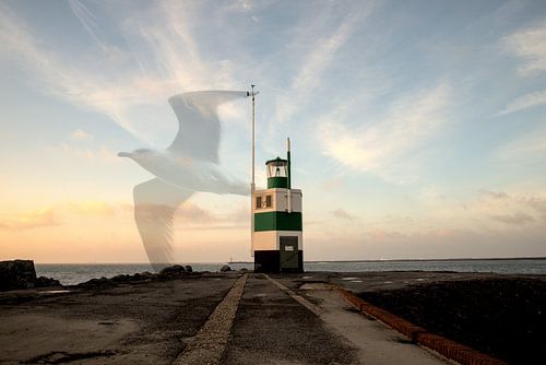 Die pier van IJmuiden in zonsondergang