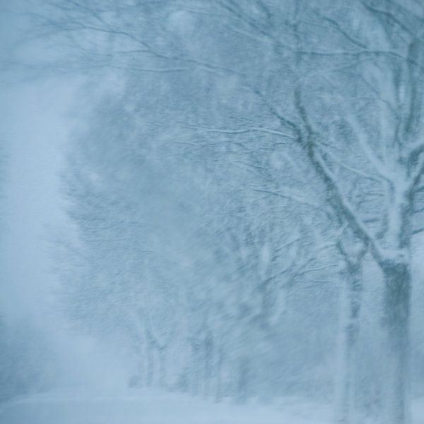 Photo abstraite avec des arbres dans une tempête de neige par Edith Wijte