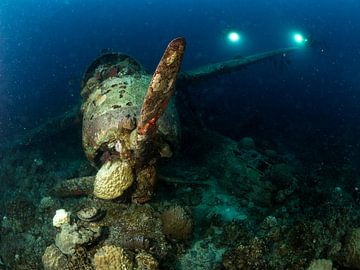 Jake Sea Plane by Ilan Ben Tov