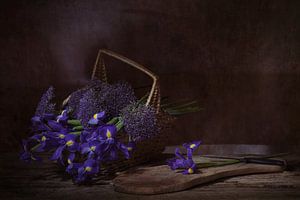Violetter Traum. Stilleben mit blauen Schwertlilien .