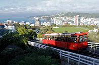 The Wellington cable car by Inge Teunissen thumbnail