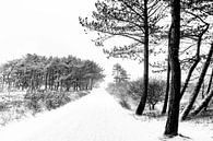 Winter op Terschelling (Klein Eldorado) par Albert Wester Terschelling Photography Aperçu