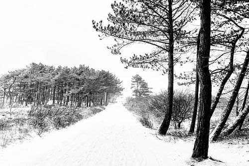 Winter op Terschelling (Klein Eldorado) sur Albert Wester Terschelling Photography