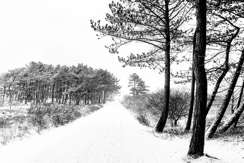 Winter op Terschelling (Klein Eldorado) van Albert Wester Terschelling Photography