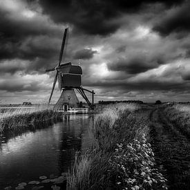 Dutch Mill von Michiel Hageman