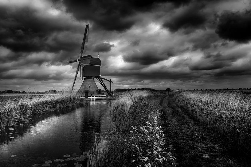 Dutch Mill van Michiel Hageman