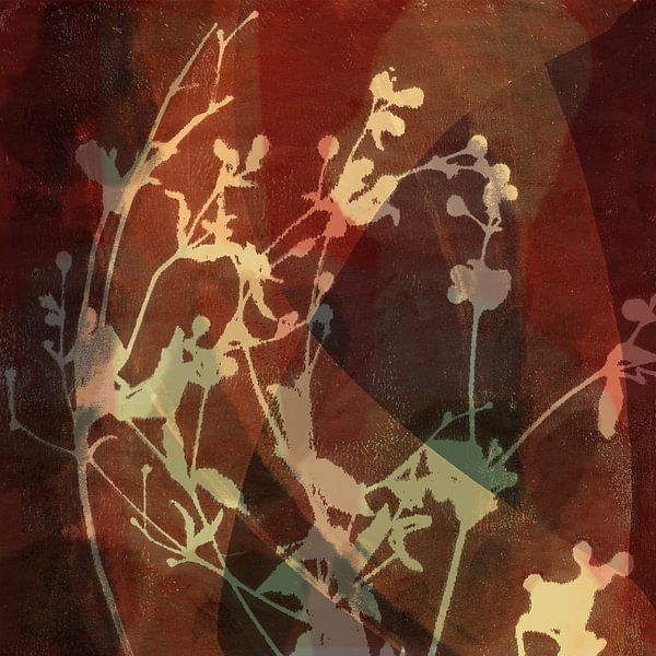 Modern abstract botanical. Flowers in white and brown. by Dina Dankers