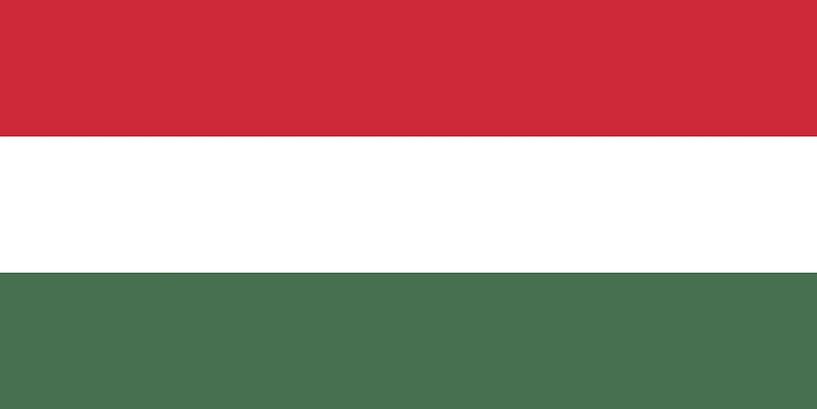 Flag of Hungary by de-nue-pic