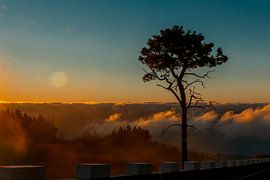 Sunrise above the clouds by Christine Bässler