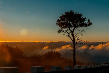 Zonsopgang boven de wolken van Christine Bässler