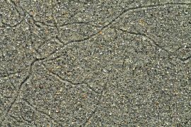 Studie: De Kaloot, Borssele - Zeeland by Patrice Domenique Troost