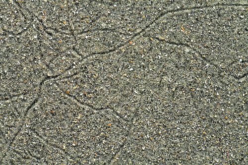 Studie: De Kaloot, Borssele - Zeeland