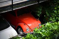 Hidden Classic, Red Beetle in the Urban Jungle