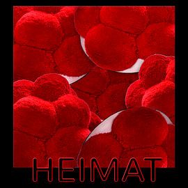 Black Forest Hats Home 3.0 by Ingo Laue