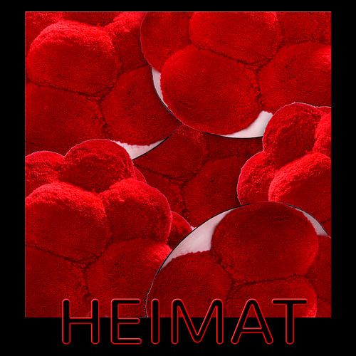 Black Forest Hats Home 3.0