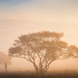 Man with dog between the currant trees | Nature Photography in the Netherlands | Sunrise by Marijn Alons