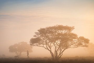 Man met hond tussen de krentenbomen | Natuurfotografie in Nederland | Zonsopkomst van Marijn Alons
