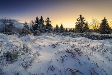 Ein Hauch von Schnee von Steffen Henze