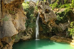 La Lagune verte