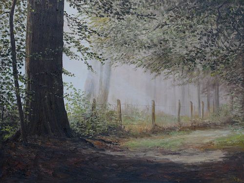 Sfeervol bospad langs de Geul Valkenburg