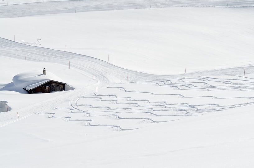 Fresh tracks in the snow by Johan van Veelen