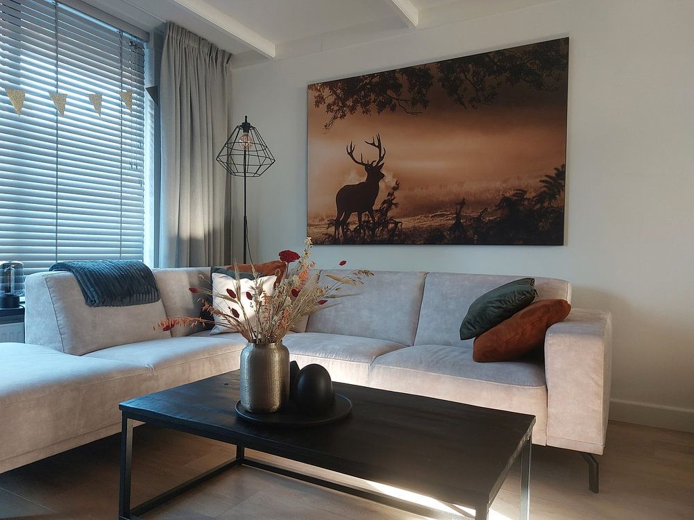 Rothirsch im Nebel  von Radojica Jevric fotorax 