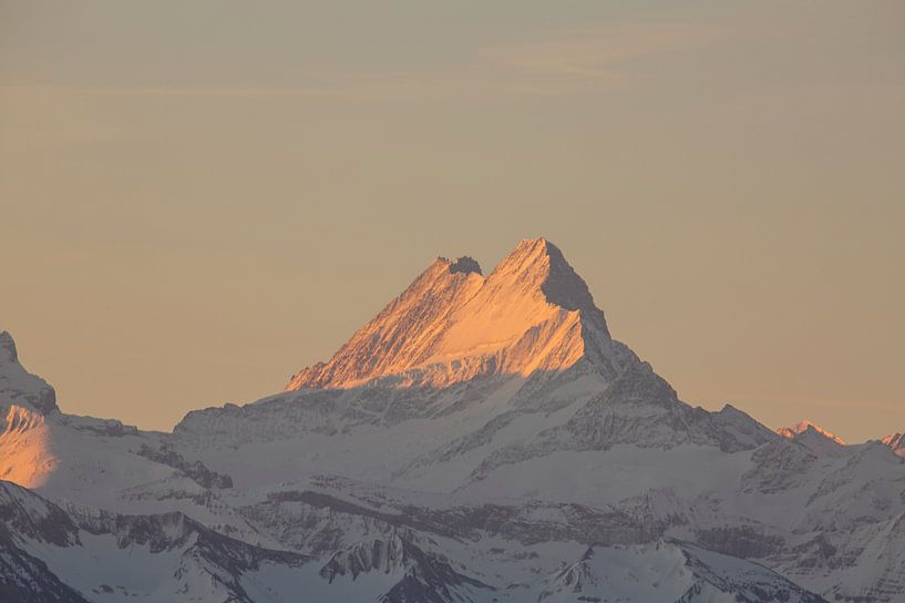 Sonnenaufgang am Schreckhorn mit Alpenglühen in den Berner Alpen von Martin Steiner