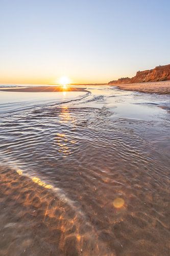 Coucher de soleil sur la plage de sable Praia da Falésia. Falaises Fleurs roses près d'Albufeira, Portugal