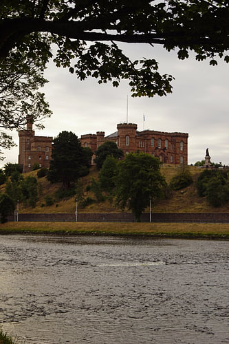 Inverness Cactle