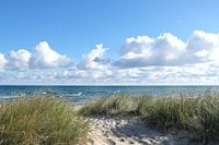 Morgens an der Ostsee