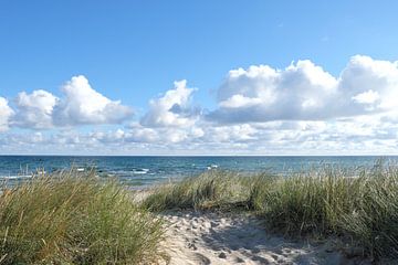 Morning at the Baltic Sea by Ostsee Bilder