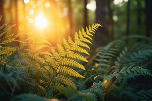Magisches Licht im Wald