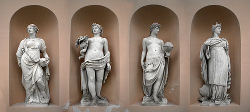 Europe, Africa, Asia, America