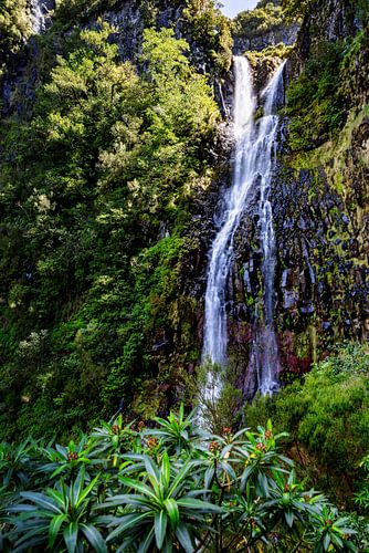 Cascata do Risco von Dirk Rüter