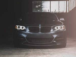 BMW M235i by Wilco Bos
