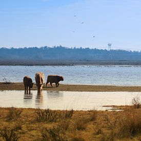 Un morceau de nature sur uNiek! Media - Design & Fotografie